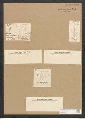 Diatomeae indet. (de-Toni-Nr.: Species 1276 ?) Zeichnungen Sammlung Grunow Nr. 2464 (NHMW-BOT-W0369637)